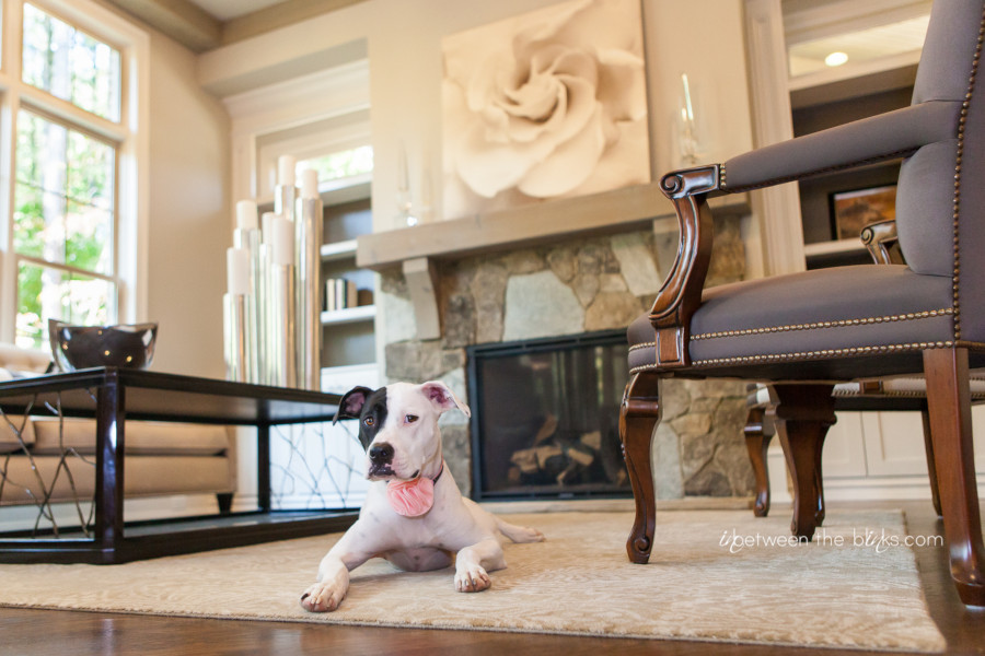 Lily in the Living Room